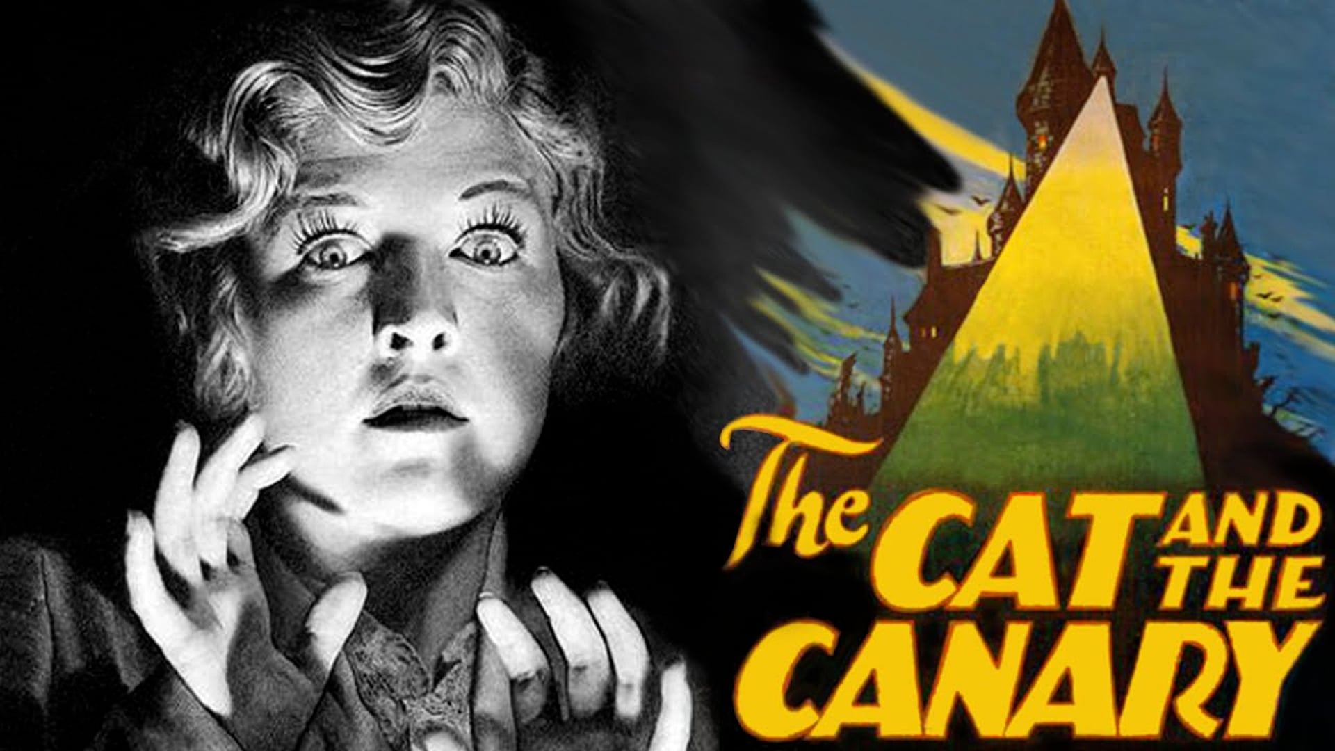 The Cat And The Canary